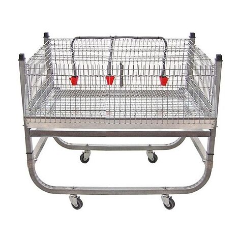 Gyc Full Chickens Exposure (Cage + Wheel Base)