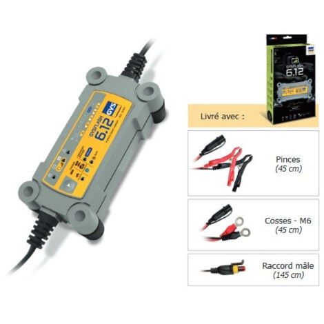 Gys - Caricabatterie desolforatore a 12 V - GYSFLASH 6.12 (IDEALE PER MOTO e AUTO)