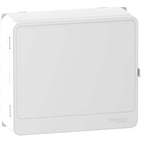 Habillage + porte Styl blanc RESI9 13 modules pour panneau de contrôle et bloc de commande - SCHNEIDER ELECTRIC - R9H13418