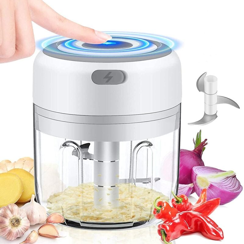 Feiyue - Hachoir électrique Hachoir à ail Hachoir à oignon Hachoir à fruits et viande Hachoir multifonction 250 ml