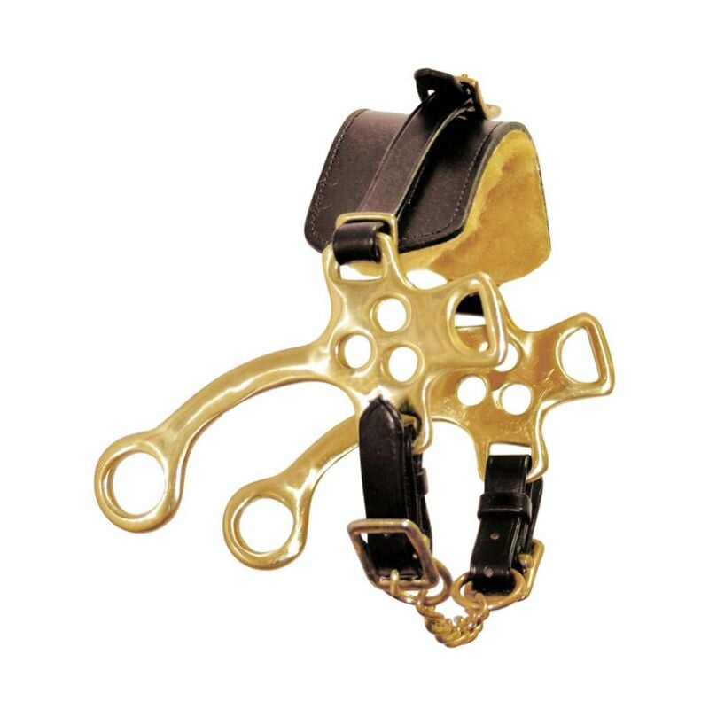 Noir - Hackamore laiton plaqué avec branches courtes, cuir et laine nasaline