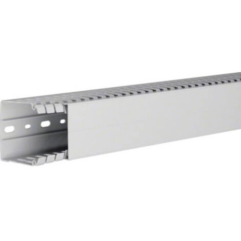 Hager HA760060 Canale porta cavi (L x L x A) 2000 x 60 x 60 mm 1 pz. Grigio luminescente