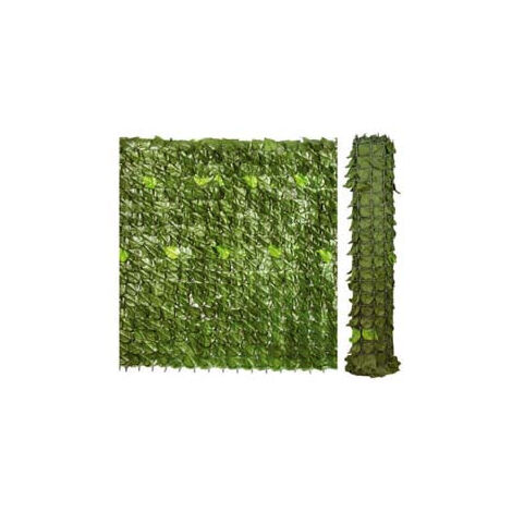 Haie de Lauro h 100 m 3 Ilcampo 00029