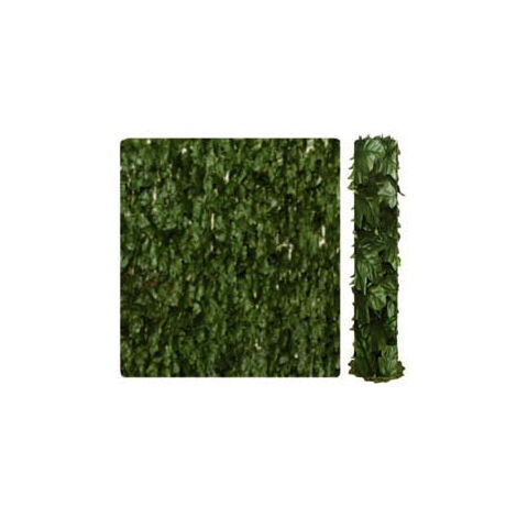 Haie de lierre h 100 m 3 Ilcampo 03473