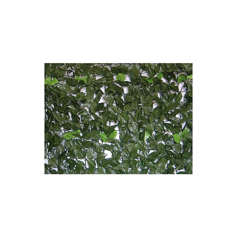 Haie evergreen brixo lauro 1,5X20MT