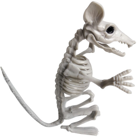 Halloween-Tierskelette – Gruselige Partydekoration