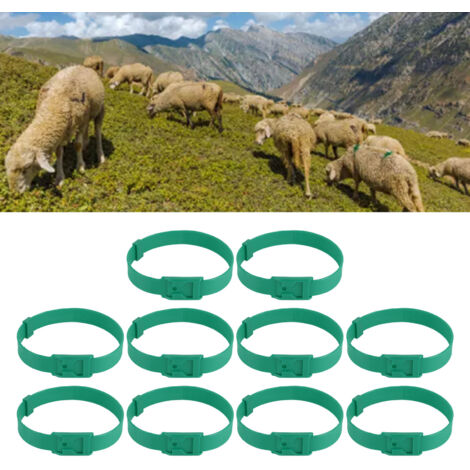 Halsband für Nutztiere, PU-Halsband, 23 Zoll, geeignet für Pferde, Kühe, Schafe, Grün, 10 Stück