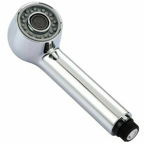 Hand Shower Kitchen Faucet 2 Nozzles Shower Head Replacement Hand Shower Chrome