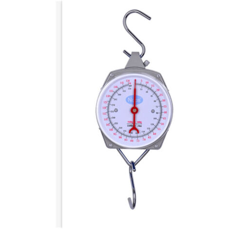 Hanging scale, suitcase scale with hook, grey, 200 kg