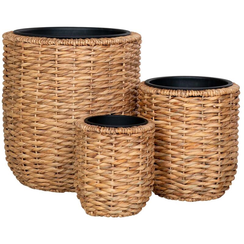 Ebuy24 - Hanoi abris pour plantes lot de 3 pièces extérieur naturel.