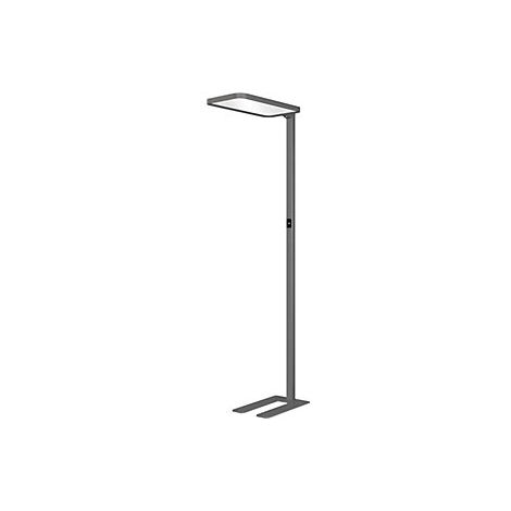 Hansa 682864 Hansa Lampada LED a stelo SAPHIR dimmerabile