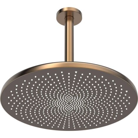 Hansa Aurelia - Soffione doccia, diametro 30 cm, color bronzo spazzolato 4727030081