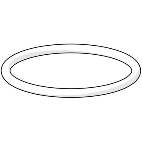 Hansa O-Ring 59911479 25,07x2,62