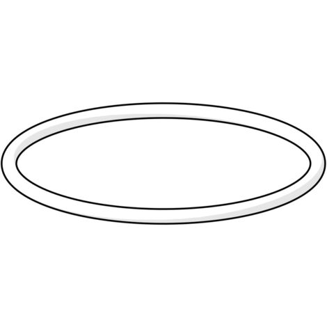 Hansa O-Ring 59913279 49,00 X 2,00