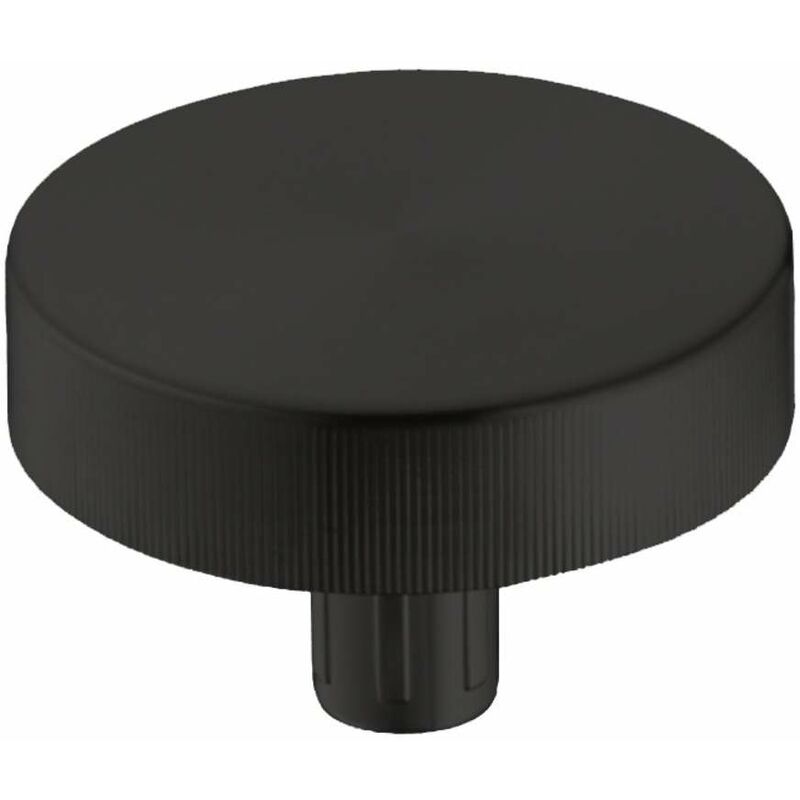 Hansgrohe Accessoires - Bouton de commande excentrique A11, noir mat 40953670