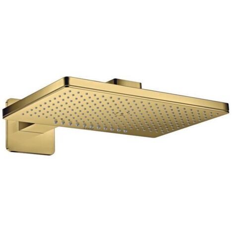 hansgrohe AXOR ShowerSolutions Kopfbrause 460/300 2jet Rosette,
