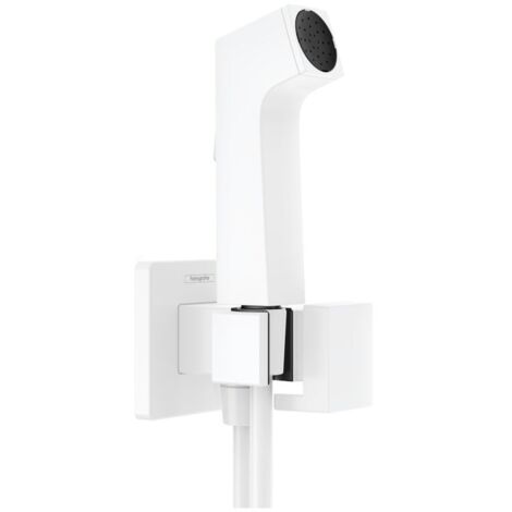 hansgrohe Bidette Handbrause 1jet E EcoSmart für Kaltwasser, mit