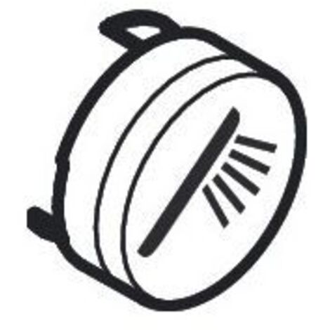 hansgrohe Druckknopf Symbol Handbrause, Weiß