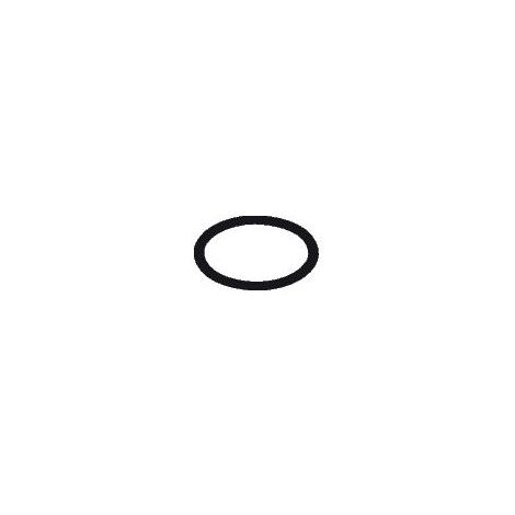 hansgrohe O-Ring 20x1mm EPDM 70 InfrarotHD