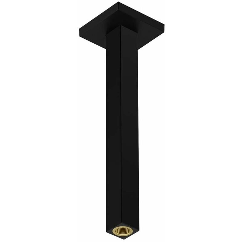 Hansgrohe - Accessoires - Bras de douche de plafond, 3 cm, noir mat 24339670