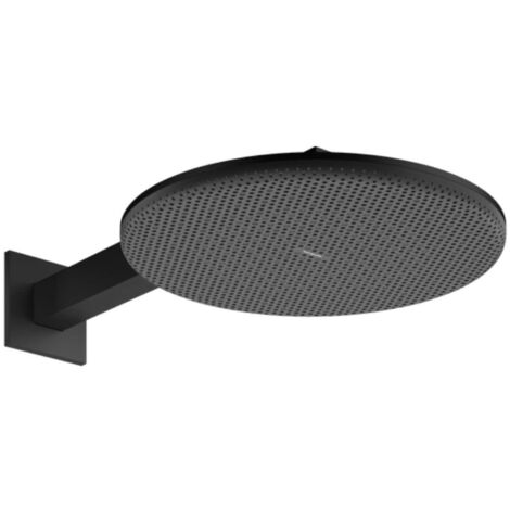 hansgrohe Raindance Alive S ducha de techo 300 2jet EcoSmart con