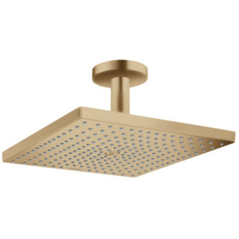 Hansgrohe Raindance E - Kopfbrause E 300, 1jet, Bronze gebürstet 26250140