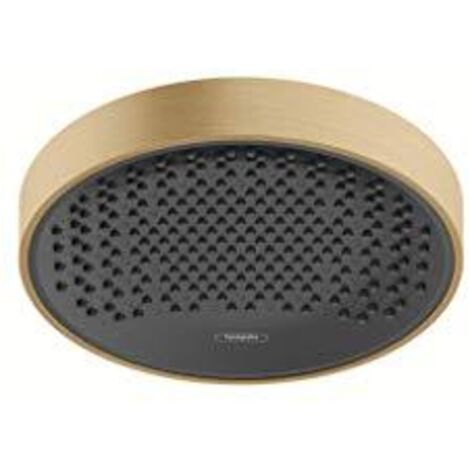 hansgrown Rainfinity douche de plafond 250 1jet, 26228140,