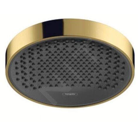 hansgrown Rainfinity douche de plafond 250 1jet, 26228990