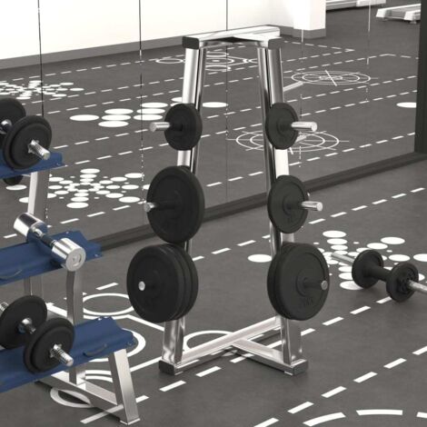 Hantelscheibe 20 kg Gusseisen vidaXL