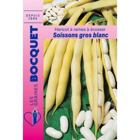 Haricot à rames Soissons gros blanc - 100g