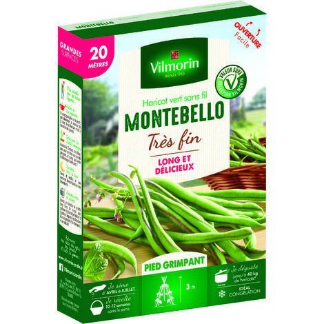 Haricot grimpant vert Montebello – Gousses 20 cm – Semis printemps – Pour potager 20 mètres linéaires – Vilmorin