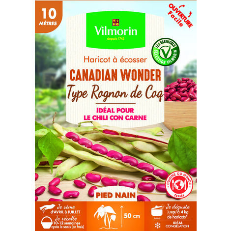 Haricot Nain à Ecosser Canadian Wonder (type Rognon de Coq) - 10 m - Cuisine du Monde Vilmorin