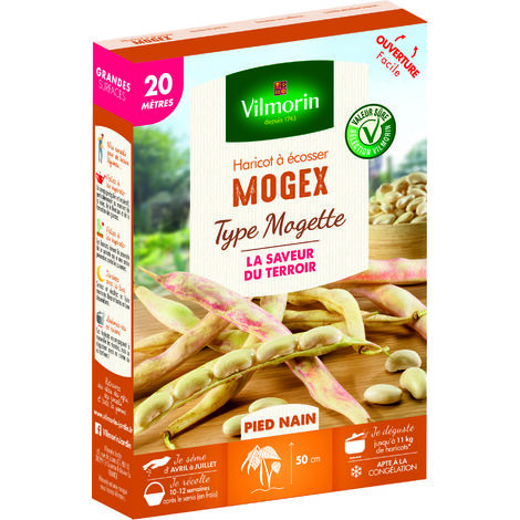 Haricot Nain à Ecosser Mogex (type Mogette) - 20 m Vilmorin