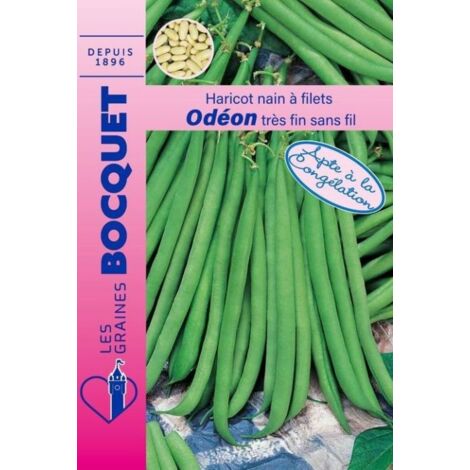 Haricot nain à filet Odéon - 70g