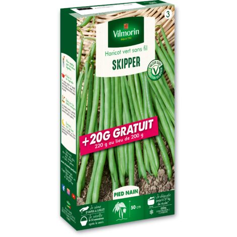 Haricot nain à filet Skipper – Semis de fin avril à juillet – Gousses vertes charnues de 12-13 cm – Récolte de juillet à septembre – Vilmorin