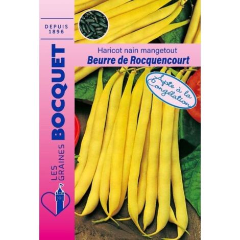 Haricot nain beurre de Rocquencourt - 110g