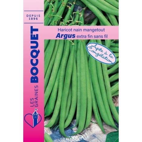 Haricot nain mangetout Argus - 60g