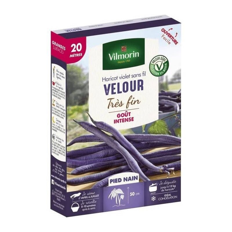 Vilmorin - Graines de Haricot nain mangetout velour 20 mètres