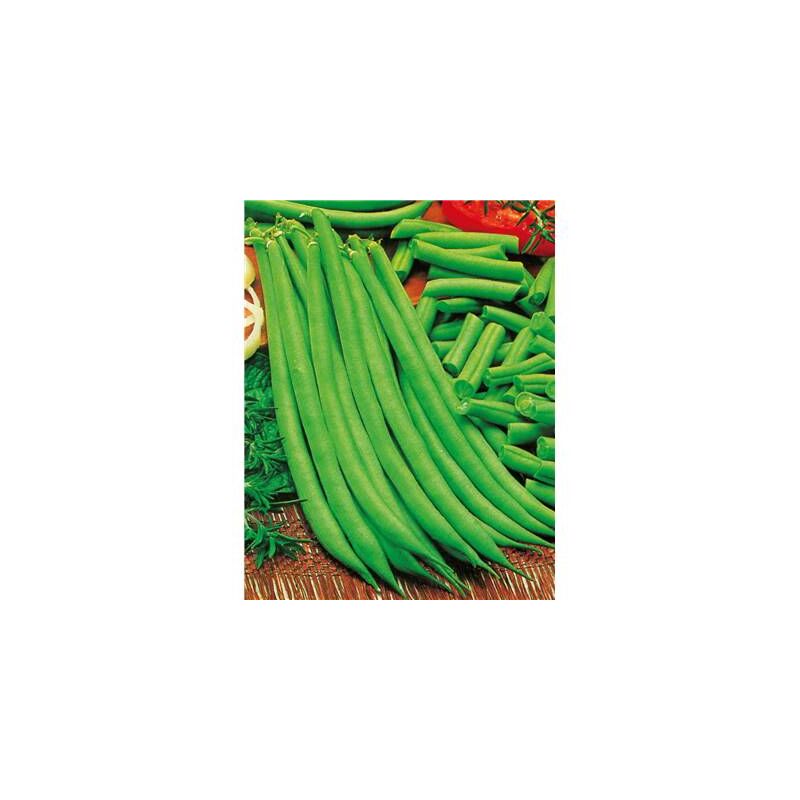 Haricot nain primel - 150 g