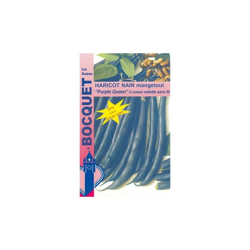 Graines Bocquet - Haricot nain Purple Queen (cosses violettes) - 80g