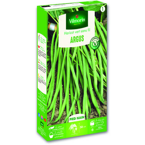 Haricot Nain Vert Argus Vilmorin