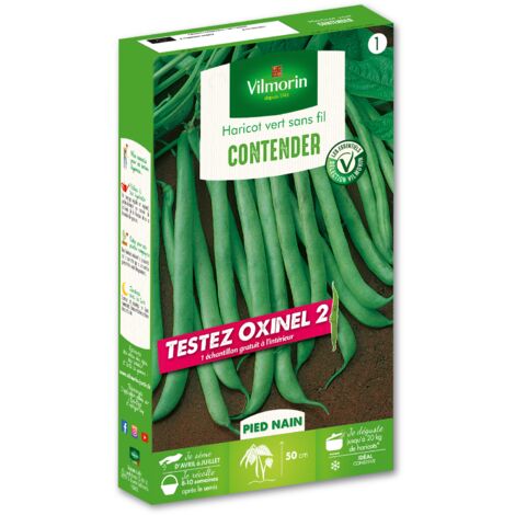 Haricot Nain Vert Contender + échantillon Oxinel 2 Vilmorin