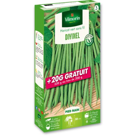 Haricot Nain Vert Divinel + 20 g Offert Vilmorin