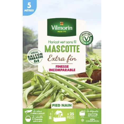 Haricot Nain Vert Mascotte - 5 m Vilmorin