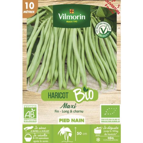 Haricot Nain Vert Maxi - 10 m - BIO Vilmorin