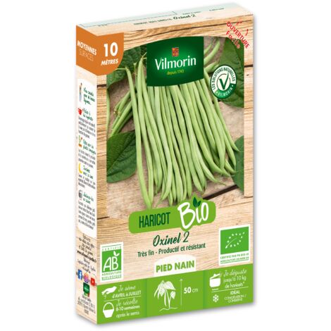 Haricot Nain Vert Oxinel 2 - 10 m - BIO Vilmorin
