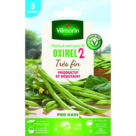 Haricot Nain Vert Oxinel 2 - 5 m Vilmorin