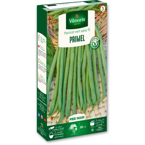 Haricot Nain Vert Primel Vilmorin
