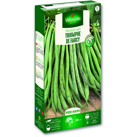Haricot Nain Vert Triomphe de Farcy Vilmorin