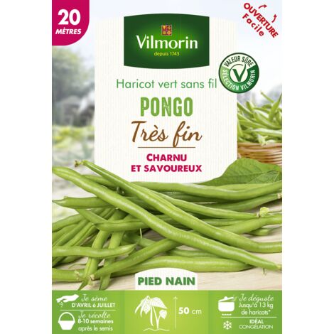 Haricot Pongo – Graines de potager précoces – Récolte facile avec gousses au-dessus du feuillage – 20 m – Vilmorin